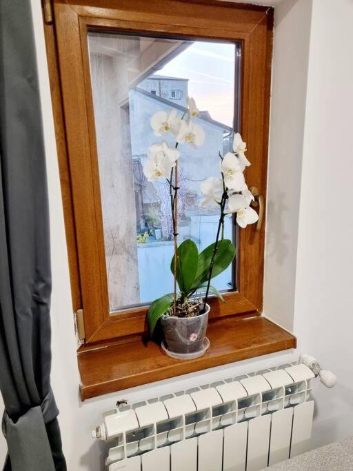 Cozy Apartment Near City Center Bukarest Exterior foto
